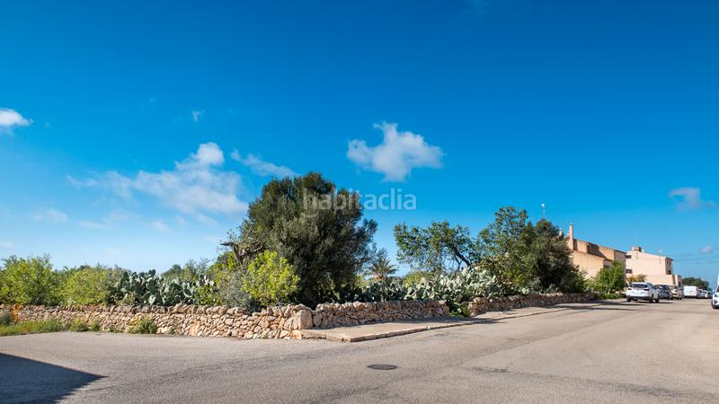 Foto e306219a-0338-4d66-a007-1b5239902050. Finca rústica a Ses Salines poble Ses Salines