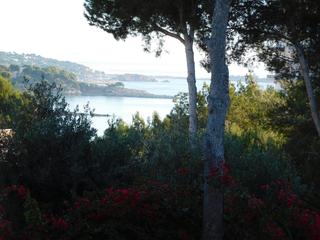 Finca rústica a Palmanova. Mallorca solares solar llano en zona muy demandada y tranquila e