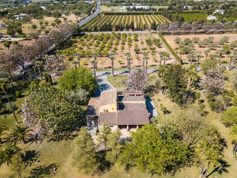 Foto 1a828c64-6e51-4b23-b055-23c501ba2cd5. Bauernhof mit pool in Zona Periurbana Inca