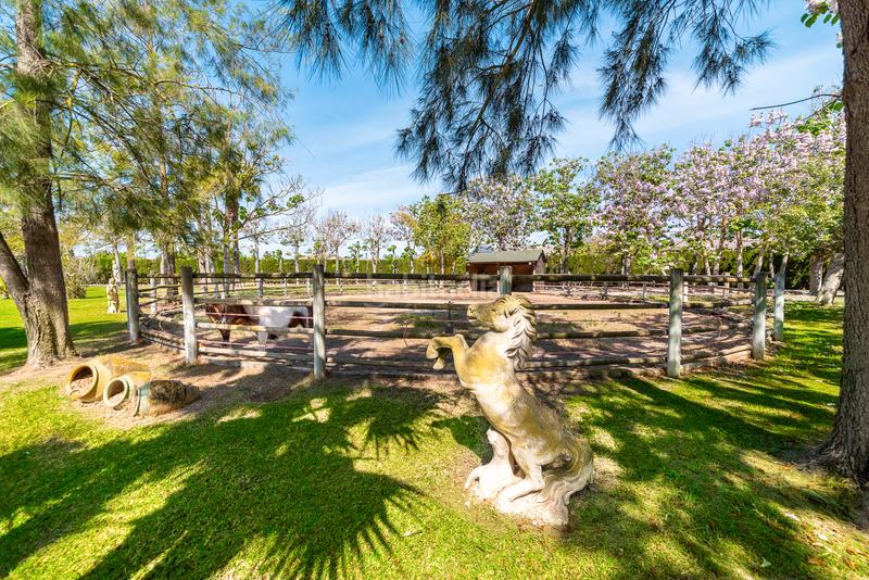 Foto 23759fd2-5bd1-4019-bfbc-8ebd33d2e6f8. Bauernhof mit pool in Zona Periurbana Inca