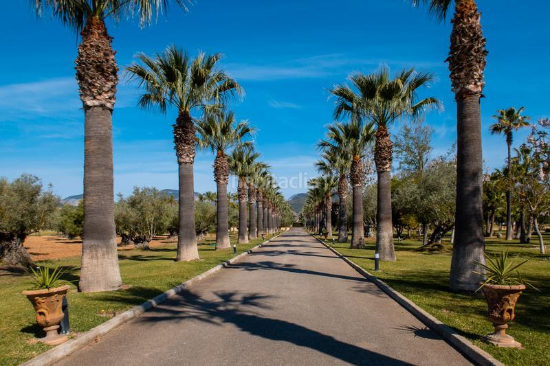 Foto ca9abbf0-2e80-4f72-ab7b-2dbd9c5dbd55. Bauernhof mit pool in Zona Periurbana Inca