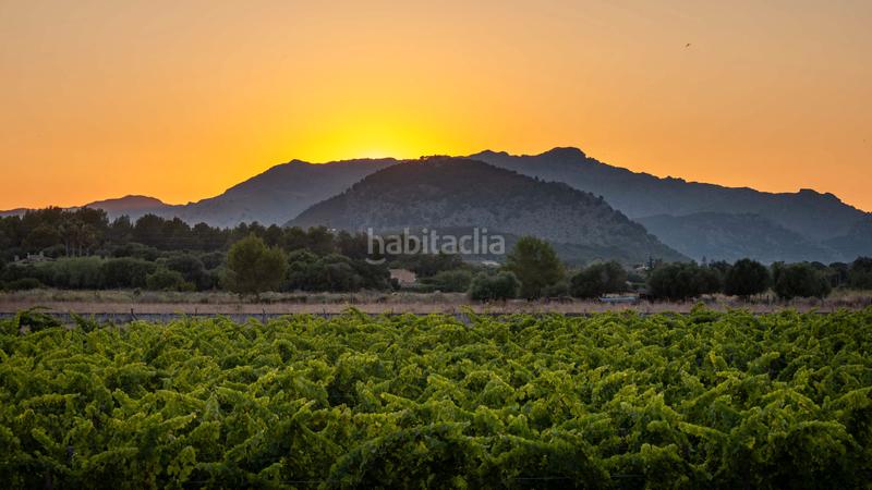 Foto 0125c95f-daad-4037-95b0-aca0802259bb. Masía exclusiva casa de campo de nueva construcción con viñedo propio y piscina en Alcúdia