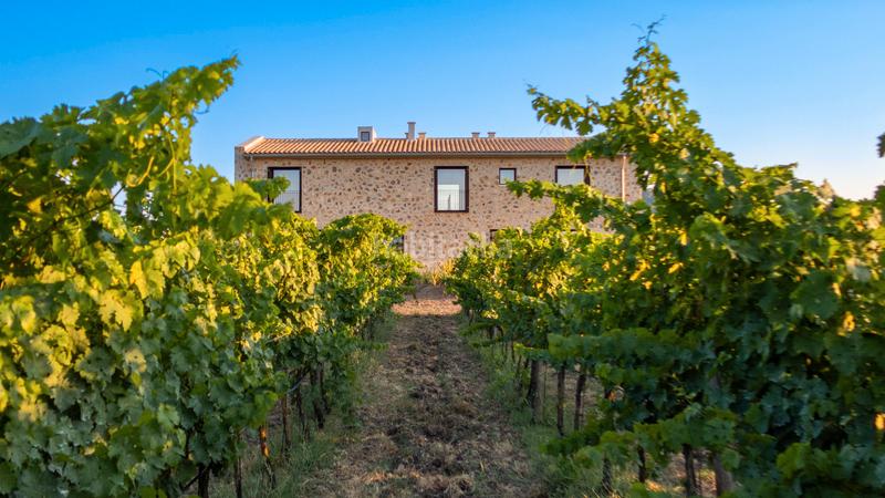 Foto a006e23e-01b3-45c3-8ce4-fc293ebfcfab. Masía exclusiva casa de campo de nueva construcción con viñedo propio y piscina en Alcúdia