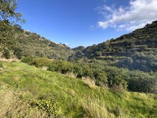 Finca rústica a Deià. Fantástico solar edificable en deià a poca distancia del centro