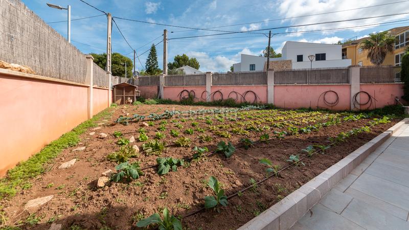 Foto 5227b9bd-6548-4cd9-83de-7b8faef8ed26. Chalet mit pool in Can Picafort Santa Margalida