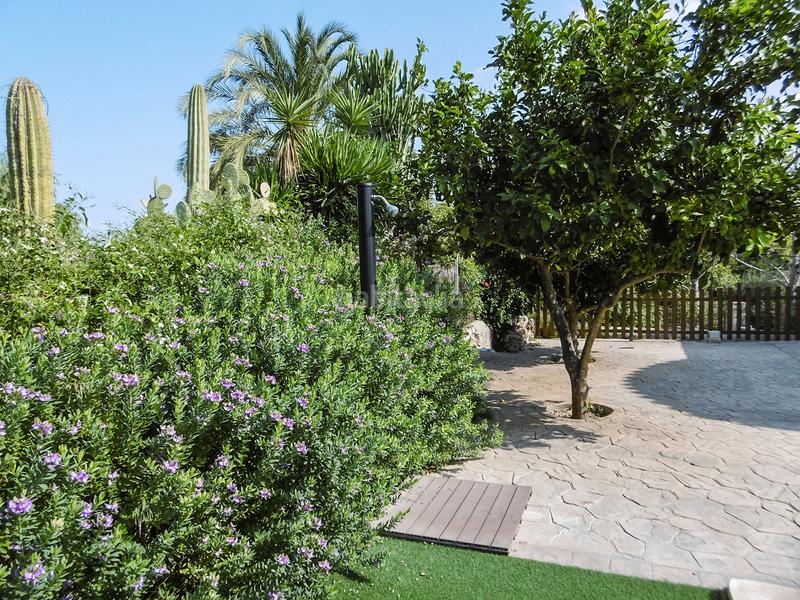 Foto e81998c4-4e97-4ee1-831f-1ef4d463566d. Lloguer xalet amb piscina a Sineu