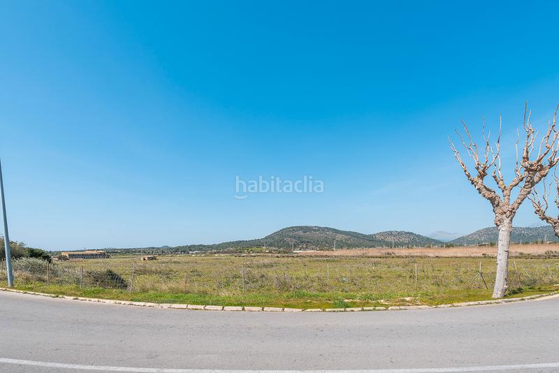 Foto 35c7c91f-93ee-4081-9933-8c762468d77e. Finca rústica terreno rústico en venta 114.000 m en Magaluf clasificación sr4ath con finca existente en Calvià