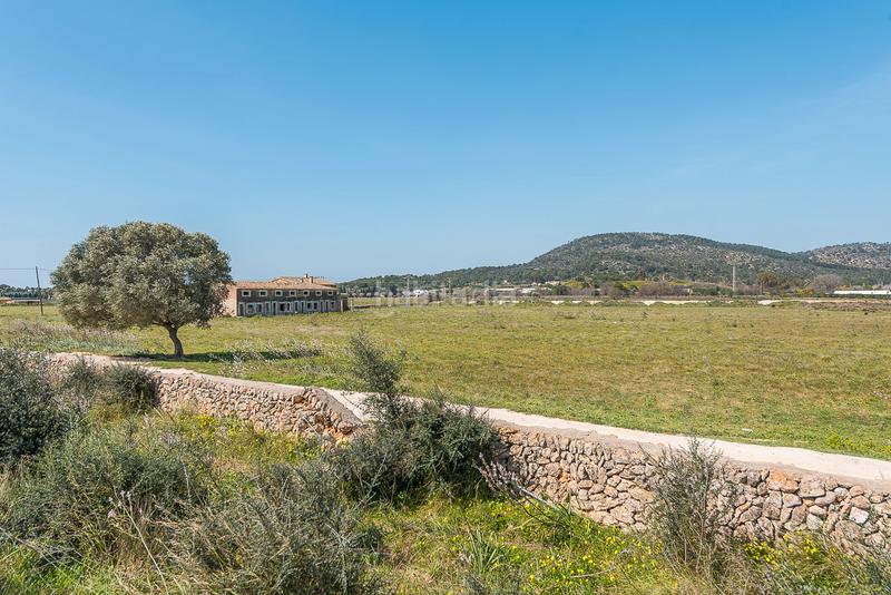 Foto 5b486aa9-a641-4826-901e-725ec24037c2. Finca rústica terreno rústico en venta 114.000 m en Magaluf clasificación sr4ath con finca existente en Calvià