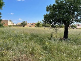Terrain résidentiel à Consell. Oportunidad para inversores para construir 30 viviendas
