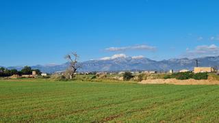 Finca rústica a Sa Pobla. Parcela ideal para construir la casa de sus sueños con unas vist