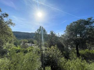 Finca rústica a Sa Pobla. Amplia parcela edificable en crestatx