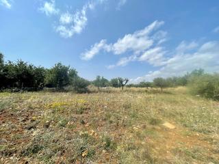 Rural plot in Pollença Poble. Parcela rústica edificable con proyecto en pollensa
