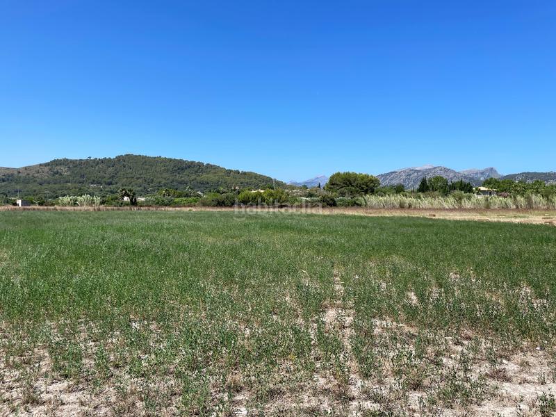 Foto 3aaefd3e-9767-4906-9f11-662aae8942f1. Propriété dans ciutat d´Alcúdia Alcúdia