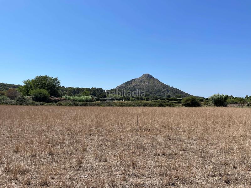 Foto 6d9db34f-4ad0-429f-8205-de092ab20dd6. Propriété dans ciutat d´Alcúdia Alcúdia
