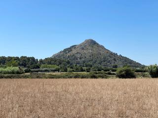 Rural plot in Ciutat d´Alcúdia. Finca rustica edificable con maravillosas vistas  en alcudia
