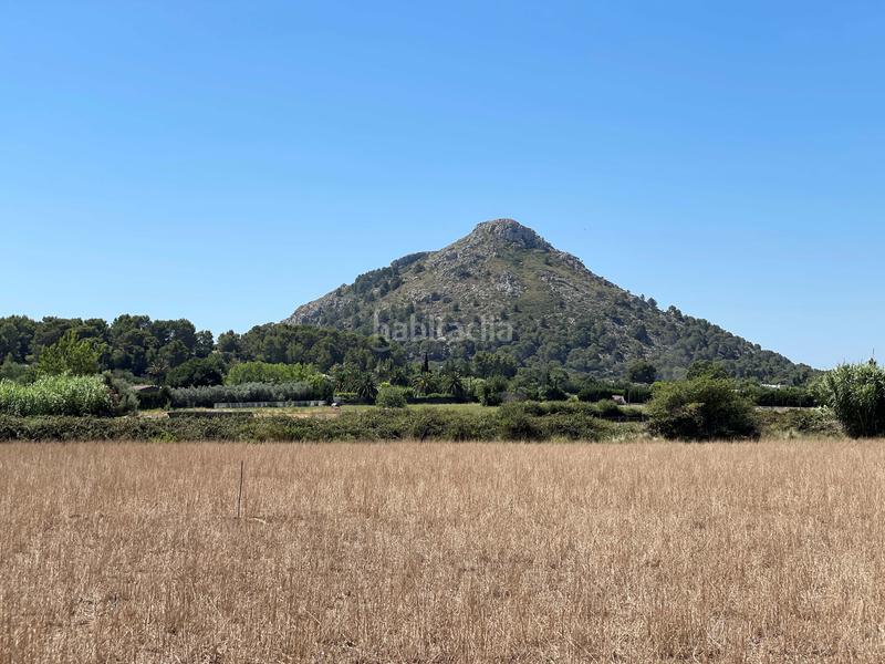 Foto 71e337a4-24c1-4317-b6e0-a3b257ff7807. Propriété dans ciutat d´Alcúdia Alcúdia