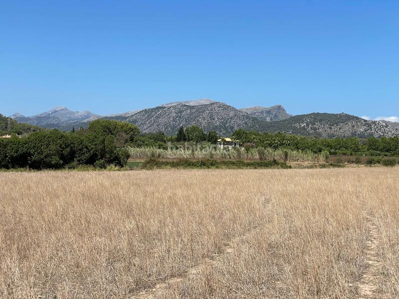 Foto f2d8d035-171b-444f-9270-8df2e0c8bf79. Propriété dans ciutat d´Alcúdia Alcúdia