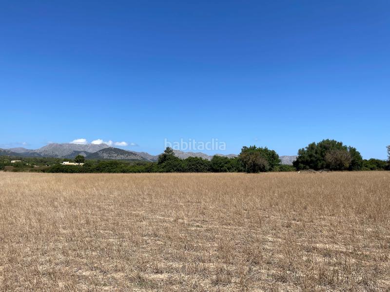 Foto f720a8e1-5b3b-40b9-aefe-6421ce189789. Propriété dans ciutat d´Alcúdia Alcúdia