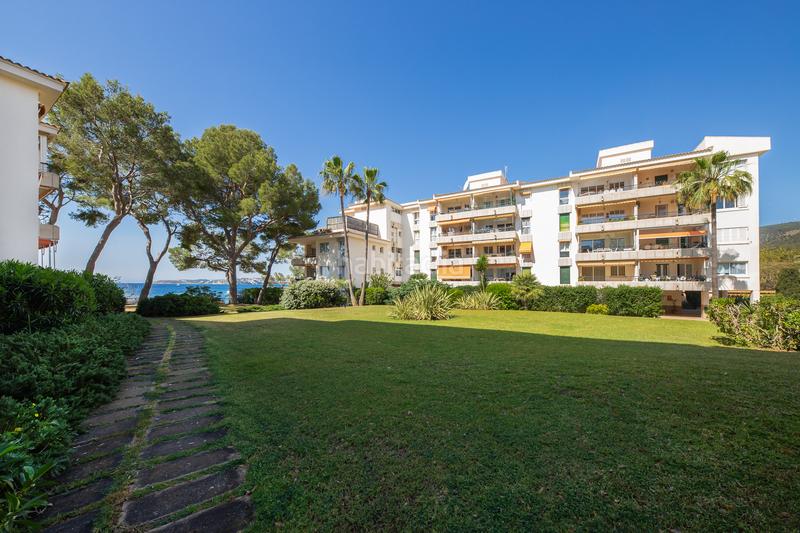 Foto 2464e221-92ee-4c81-9a34-879a7df139a0. Apartament a Portals Nous Calvià