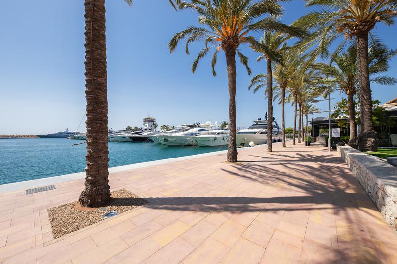 Foto 2fb455a2-4603-42dd-ab68-87e722507dec. Apartament a Portals Nous Calvià