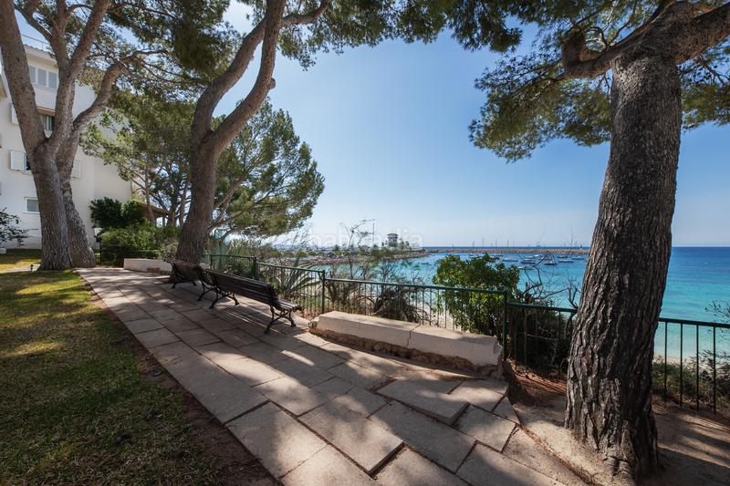 Foto 747c2608-27c5-4f80-9c1b-56abd0d27cf3. Apartament a Portals Nous Calvià