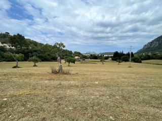 Rural plot in Pollença Poble. Terreno edificable con licencia para una casa de campo cerca de