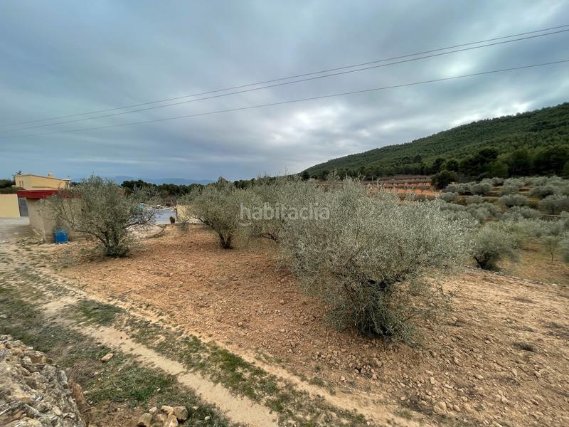 Foto 35aa8ea7-67d0-4f1a-b854-40842be22b7f. Finca rústica a Alcora (l´)