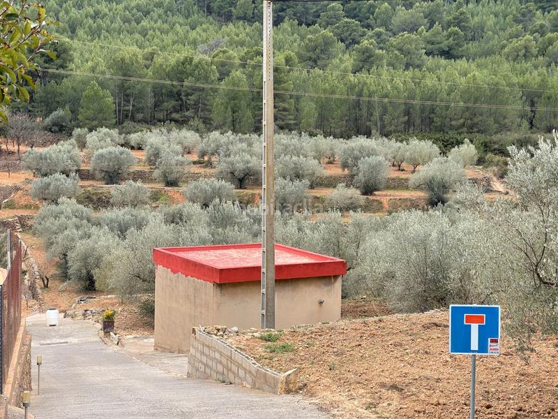 Foto 37389451-261d-4bd3-9c48-4784934dd6cc. Finca rústica a Alcora (l´)