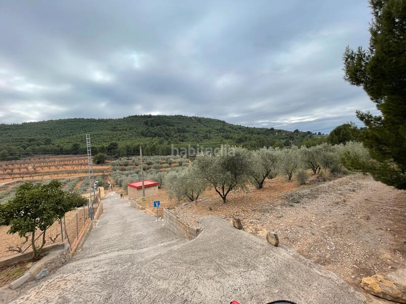 Foto 391156f4-2cd5-403f-800f-7ef6904f06e4. Finca rústica a Alcora (l´)