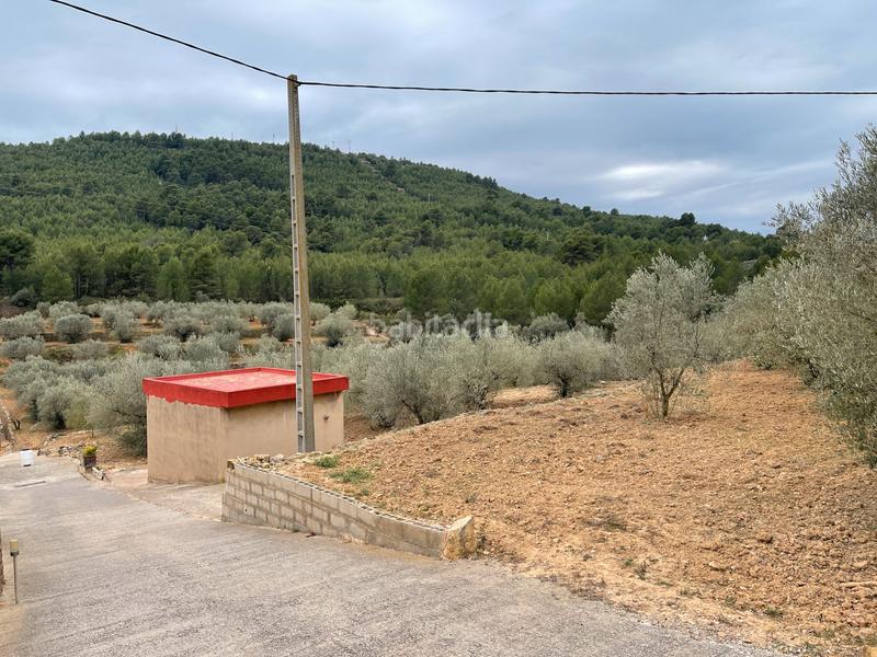 Foto 4ac67c8c-c9ab-49da-8850-5d0106cd1ae7. Finca rústica a Alcora (l´)