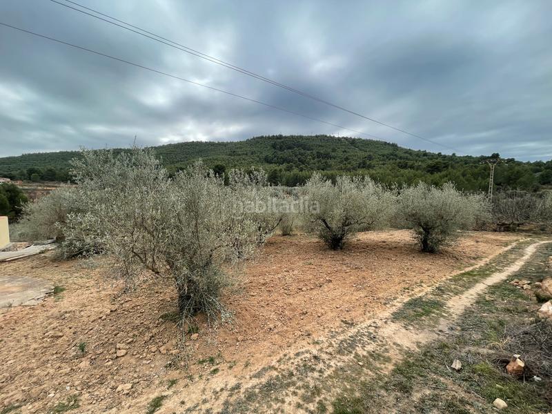 Foto 53184a3c-f181-4998-bf3a-a52dabe0c3db. Finca rústica a Alcora (l´)