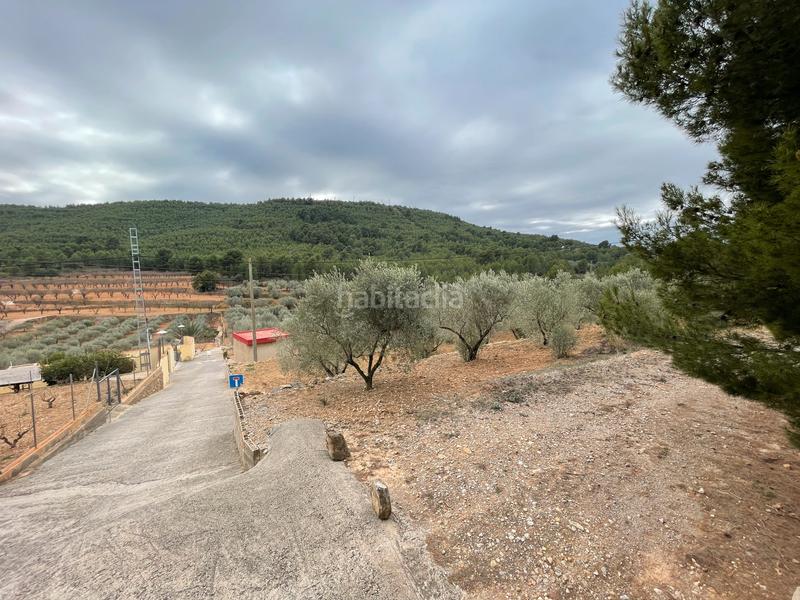 Foto 59cebb66-8408-4e86-9c5d-4d97b6224f4e. Finca rústica a Alcora (l´)