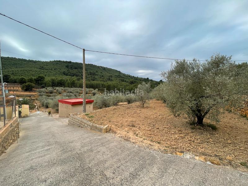 Foto 9a8c265a-531c-484e-8d8e-d0871e9b3222. Finca rústica a Alcora (l´)