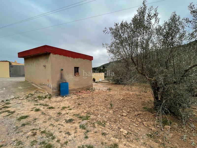 Foto aa5db805-cdb0-424c-8c4a-da242cdf5891. Finca rústica a Alcora (l´)