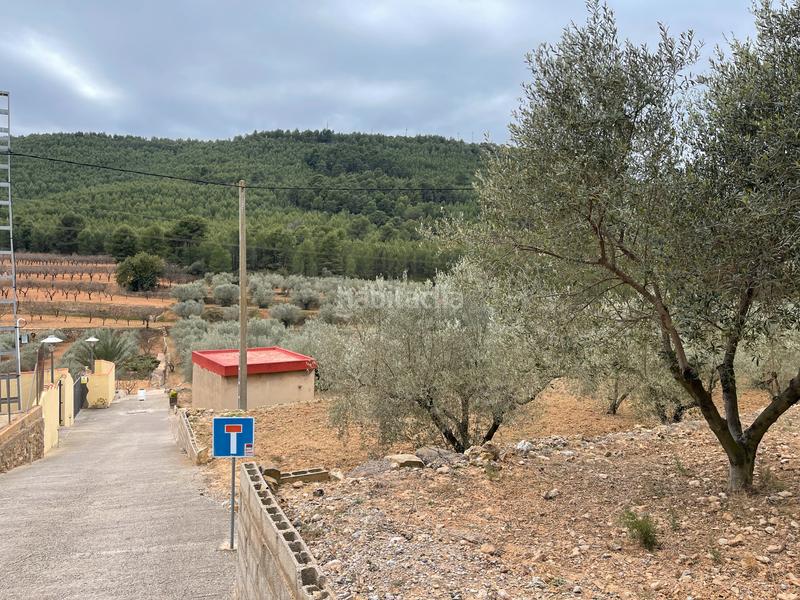 Foto bdc231a4-13d6-4076-aded-abe3c88c4236. Finca rústica a Alcora (l´)