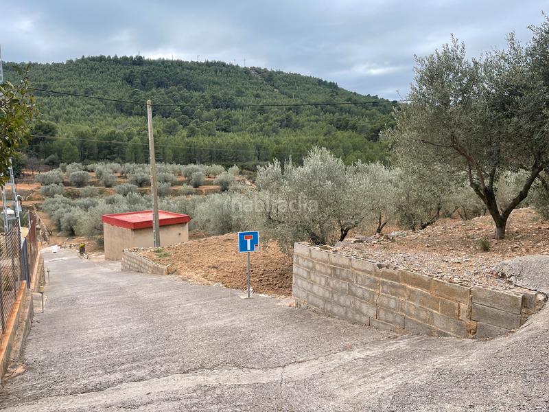 Foto cc163fb1-8cdc-4f0e-9a83-9671a2b2d574. Finca rústica a Alcora (l´)