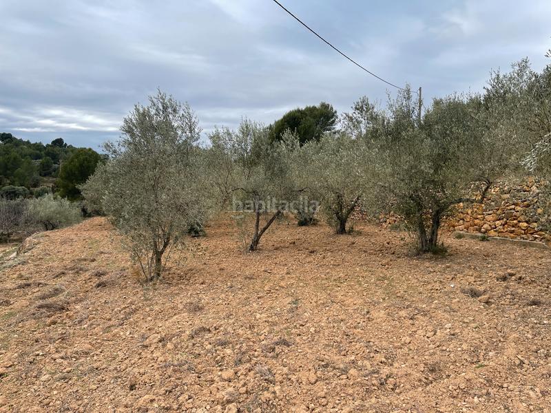 Foto d93a9298-23f0-49f5-8208-0044681269c2. Finca rústica a Alcora (l´)