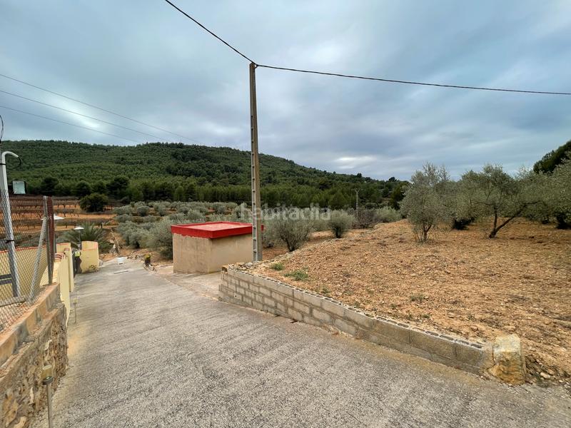 Foto ff7d021d-a9b1-4f21-acea-5d7d51219a1b. Finca rústica a Alcora (l´)