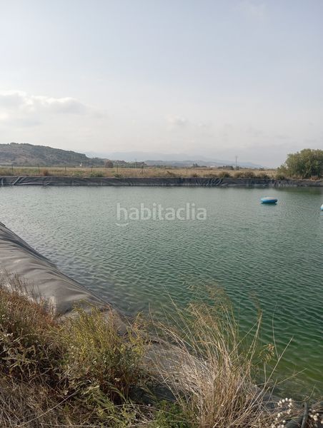 Foto 1c7e70ee-aab9-48ff-980a-308340f5653c. Finca rústica a Almenara