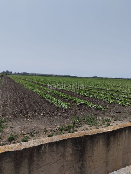 Foto 4926c814-6606-473a-ad13-db74eb552543. Finca rústica a Almenara