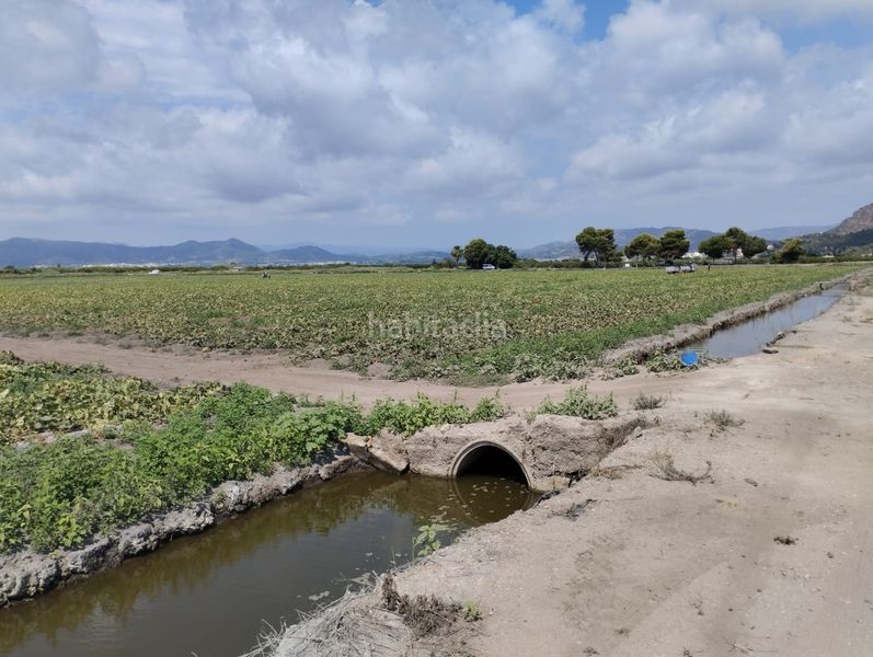 Foto 65282a00-476e-483d-9654-020c7241dc30. Finca rústica a Almenara