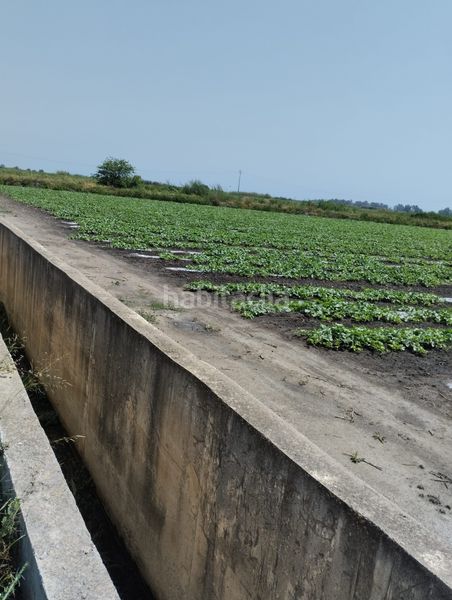 Foto 88df53ba-7e55-4c53-a03f-ea8e992945b7. Finca rústica a Almenara