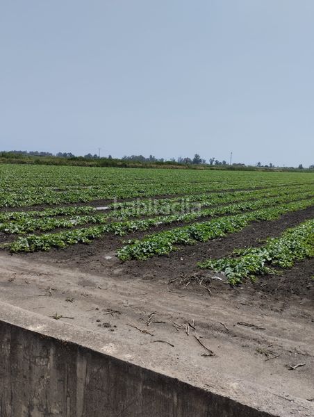 Foto 912f92b1-89dd-48bf-b6bf-b50d59d1e813. Finca rústica a Almenara