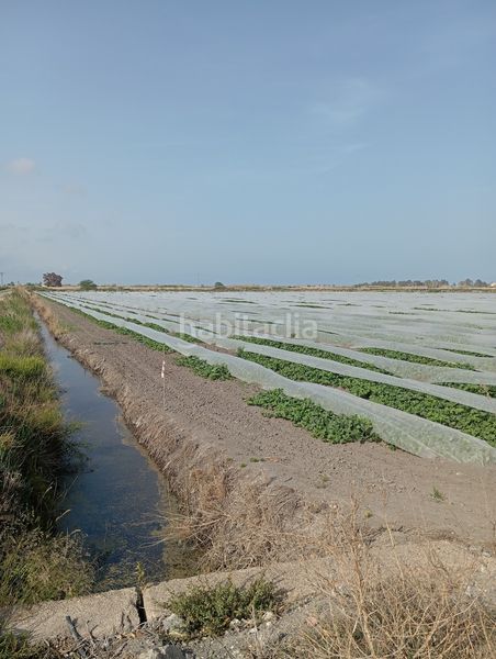 Foto a5624455-953e-4117-928f-3c0e192b70be. Finca rústica a Almenara