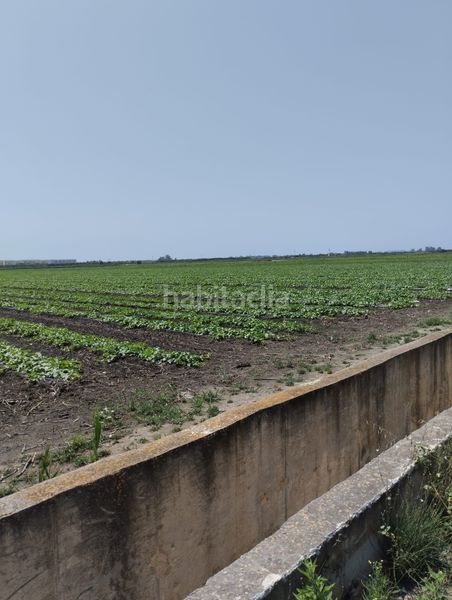 Foto bbe7684e-ae4e-4947-988a-1f820d07aec8. Finca rústica a Almenara