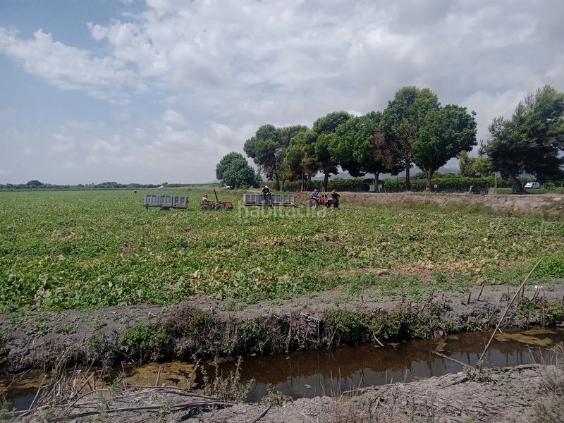 Foto bd56ae38-f0ad-497c-9e94-5958942b0df9. Finca rústica a Almenara