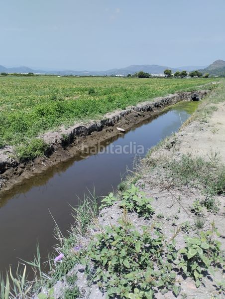 Foto d1115119-d706-4375-a494-5f2bf539074e. Finca rústica a Almenara