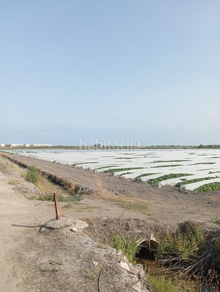 Foto d5e1b7f5-2b6b-4d4c-a38d-817d2741f8fc. Finca rústica a Almenara