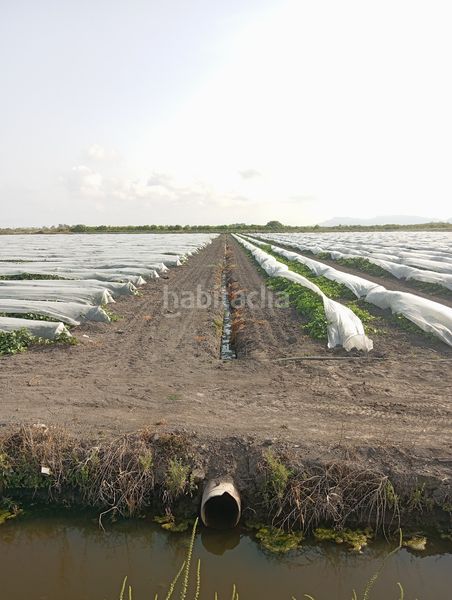 Foto de865ac0-9a13-4023-be79-24d118b661c7. Finca rústica a Almenara
