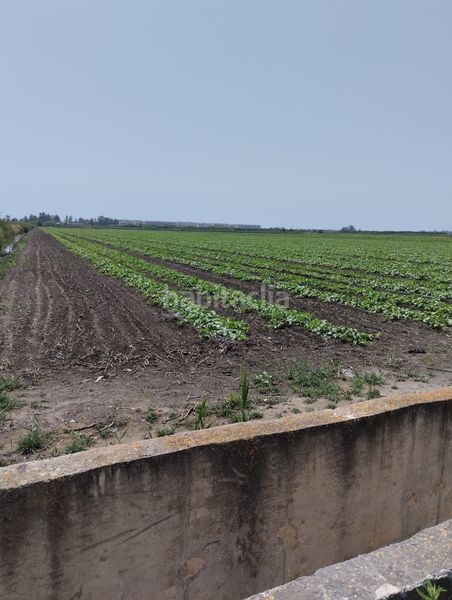 Foto e05e854f-d840-4801-8143-5a8bb1c79494. Finca rústica a Almenara